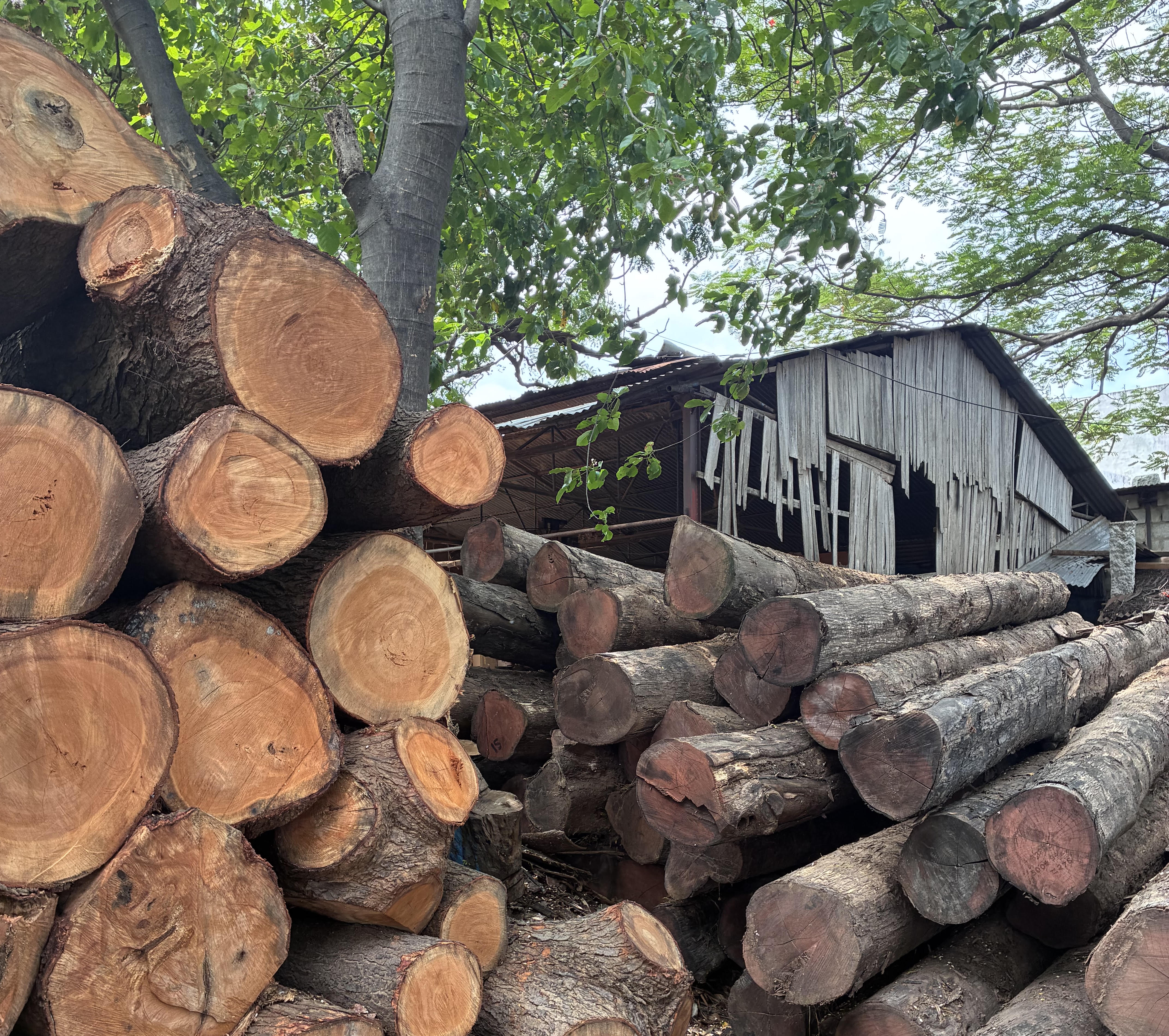 About Sivakarthik Timber Depot